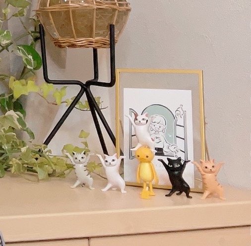 yuiyui_1012's tweet photo. 生配信ありがとうございました☺︎
猫ちゃんたちもついに最終形態に🐈‍⬛

次回の生配信は8/16(水) 21:30からです

いつもと違う曜日なのでご注意ください

名古屋のイベントでお会いしましょう〜 https://t.co/LqrzBnvBMZ