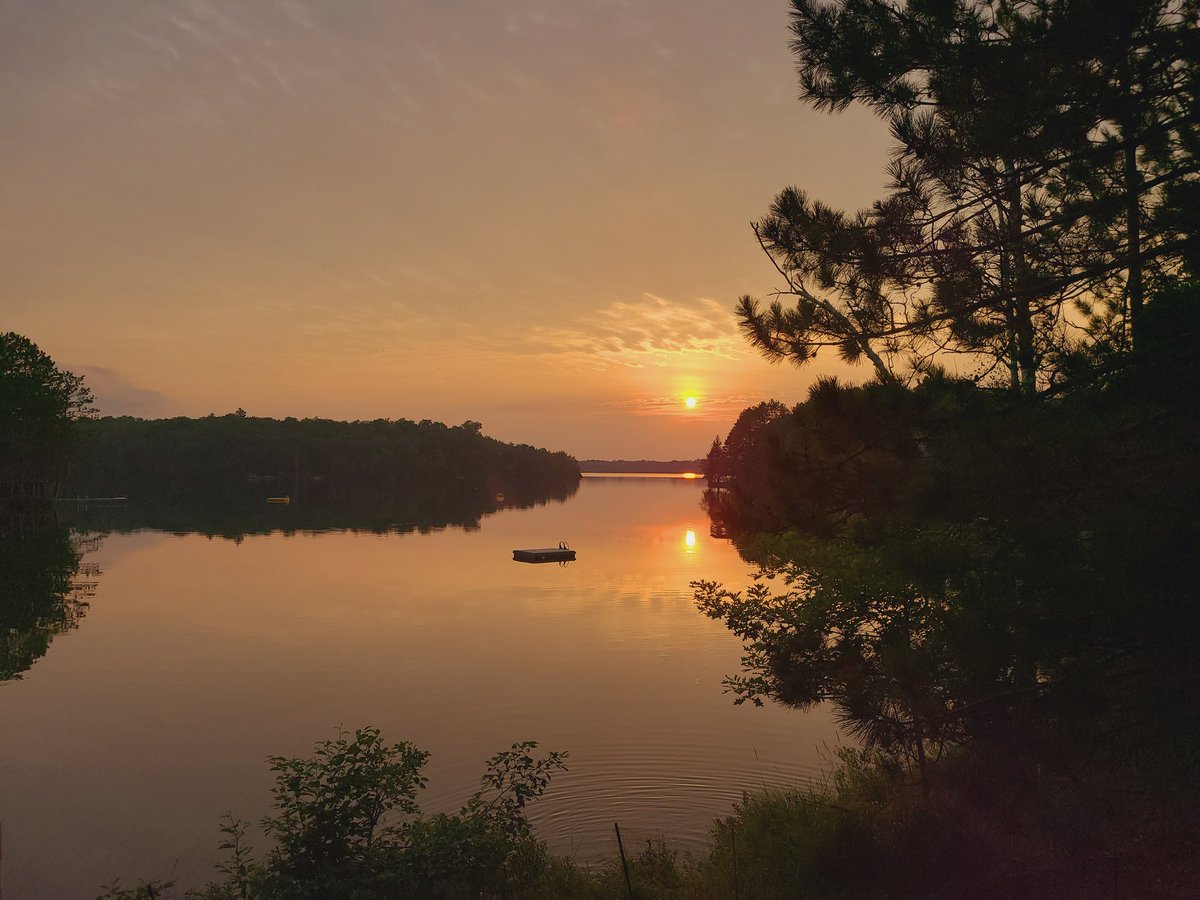 Anna Dutke tweet media