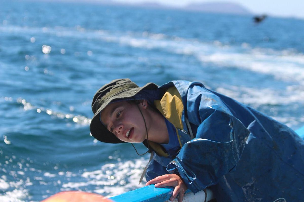 SImarineconserv's tweet image. 🌿Meet-the-Team Monday🌿

Laia Munoz Abril is a fisheries biologist and PhD student focused on yellowfin tuna pop. structure in the eastern Pacific Ocean.
Our lab supports Laia in her collaboration with the govt of Ecuador to produce the first data for the mgmt of this species 🐟