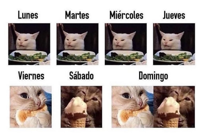 Naticoncha's tweet image. Nutri, yo hice la dieta al pie de la letra, no sé porque no baje de peso.
La dieta: