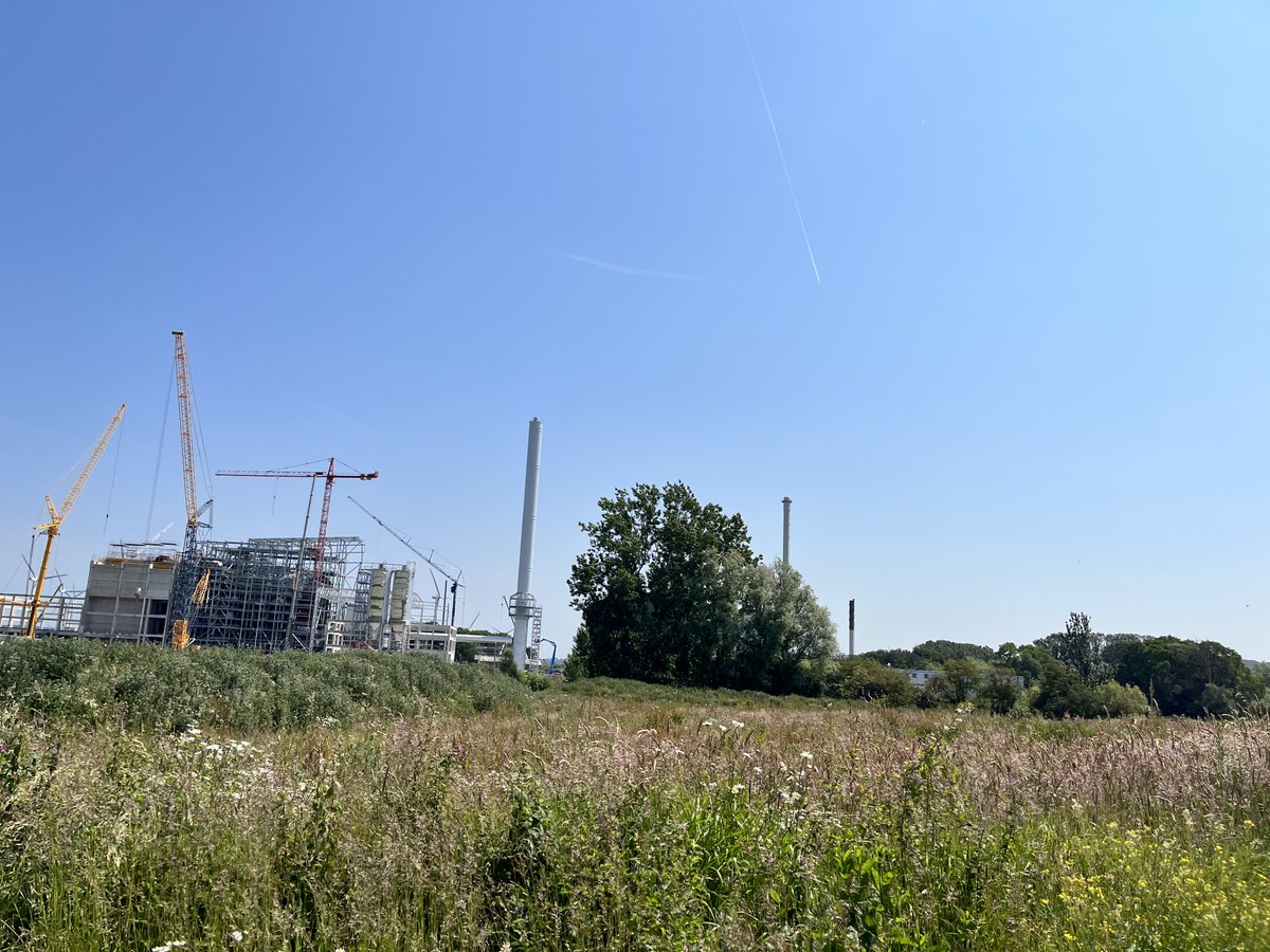 This is Protos tweet media