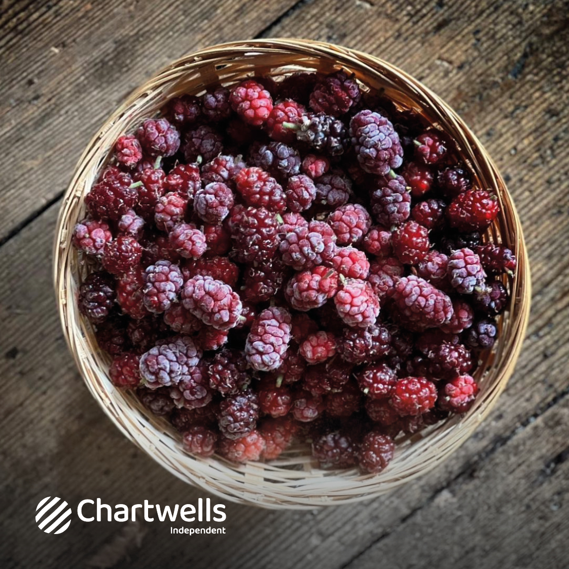 During #NationalAllotmentWeek, we reflect on the importance of a holistic approach to food in our independent school partnerships. By sourcing local ingredients, or better yet growing our own, we cater to the unique needs and preferences of our schools and their pupils.
