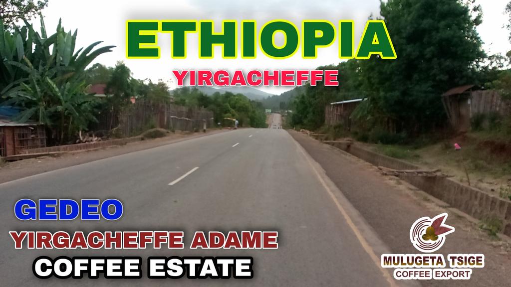 Learn about ADAME coffee
Yirgacheffe Adame coffee, which is the most popular among Ethiopian coffee consumers in the world, is produced in this area.
Adame coffee is the most popular coffee in Europe,Asia,USA and Africa and is a special choice of coffee that is loved by consumers