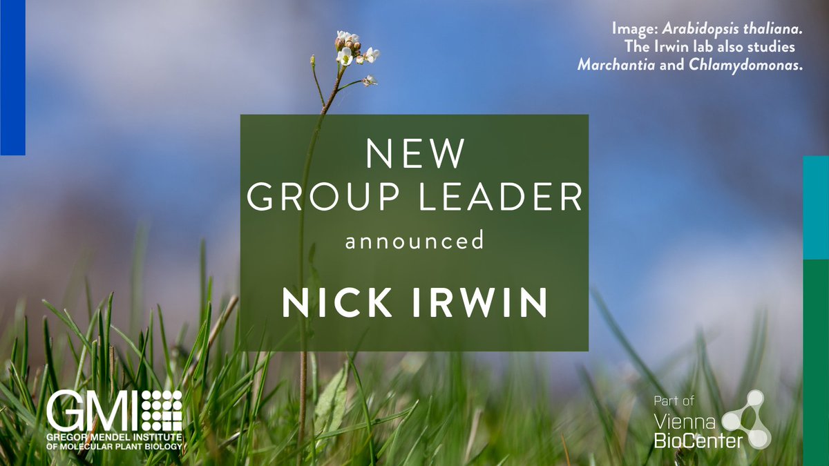 gmivienna's tweet photo. 🎉 Exciting news! New group leaders will join the GMI next year. Today we introduce Nick Irwin (@dinokaryon), whose lab will investigate horizontal gene transfer in plants and algae. 🌱  Nick’s group page: https://t.co/tBLOGhsnqI https://t.co/E1o4JP5Ibo