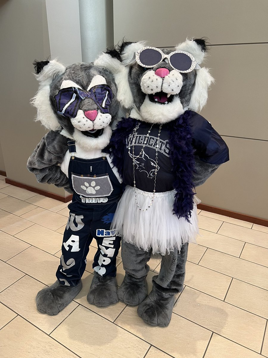 TMHSCheer2020's tweet photo. ⭐️⭐️The Stars of Tomball⭐️⭐️ THS❤️ & TMHS💙 cheerleaders and mascots loved welcoming all of the @tomballisd teachers and staff back for another amazing year 🏆 #thscheer #tmhscheer #tisd #starsoftomball https://t.co/dZIliJiI3f