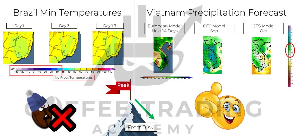 Ryan Delany tweet media