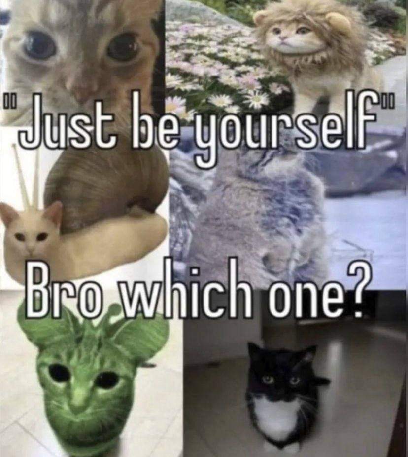having a shitton of different signs in ur chart like