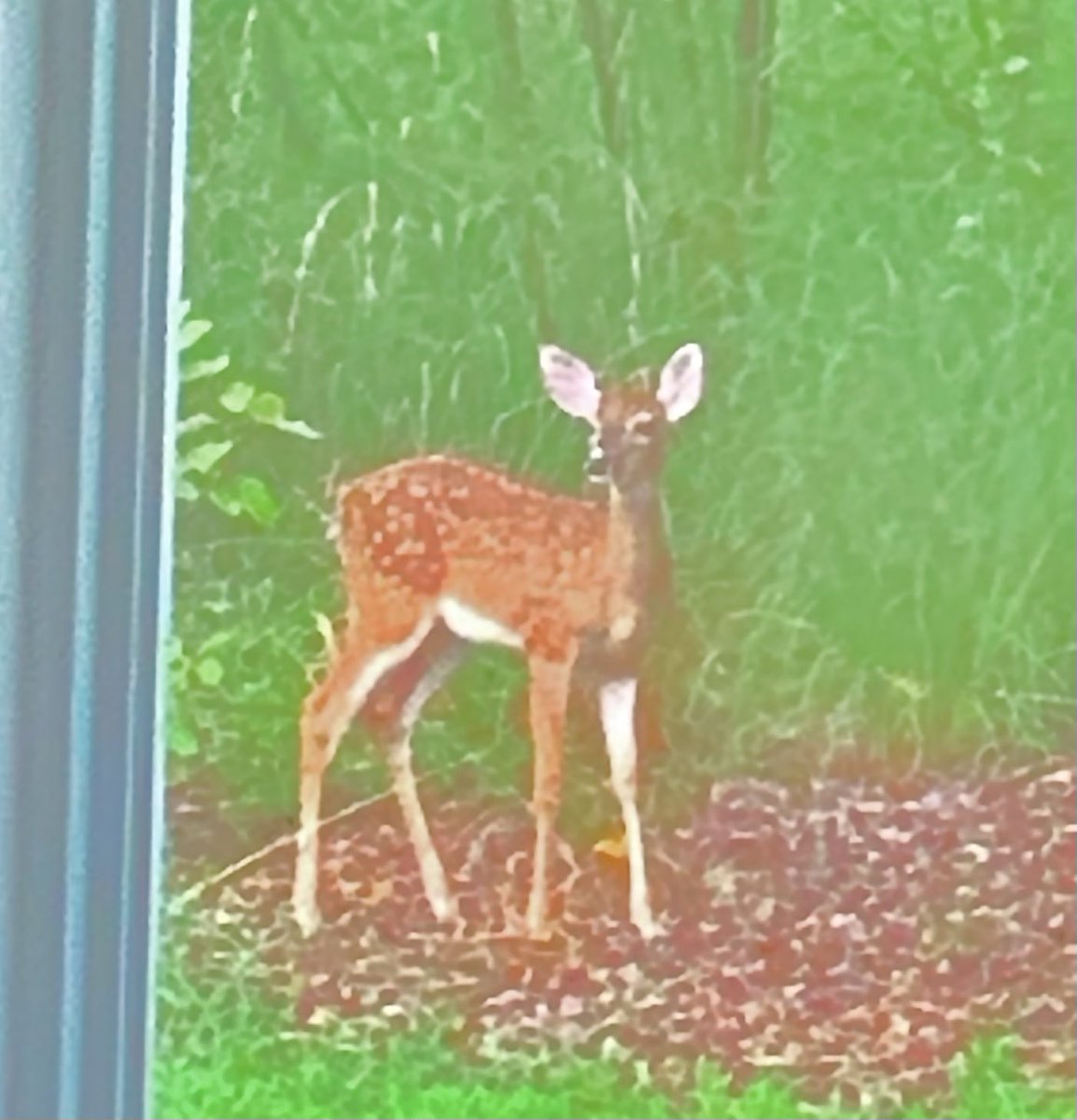 grimtuple's tweet image. Back to work