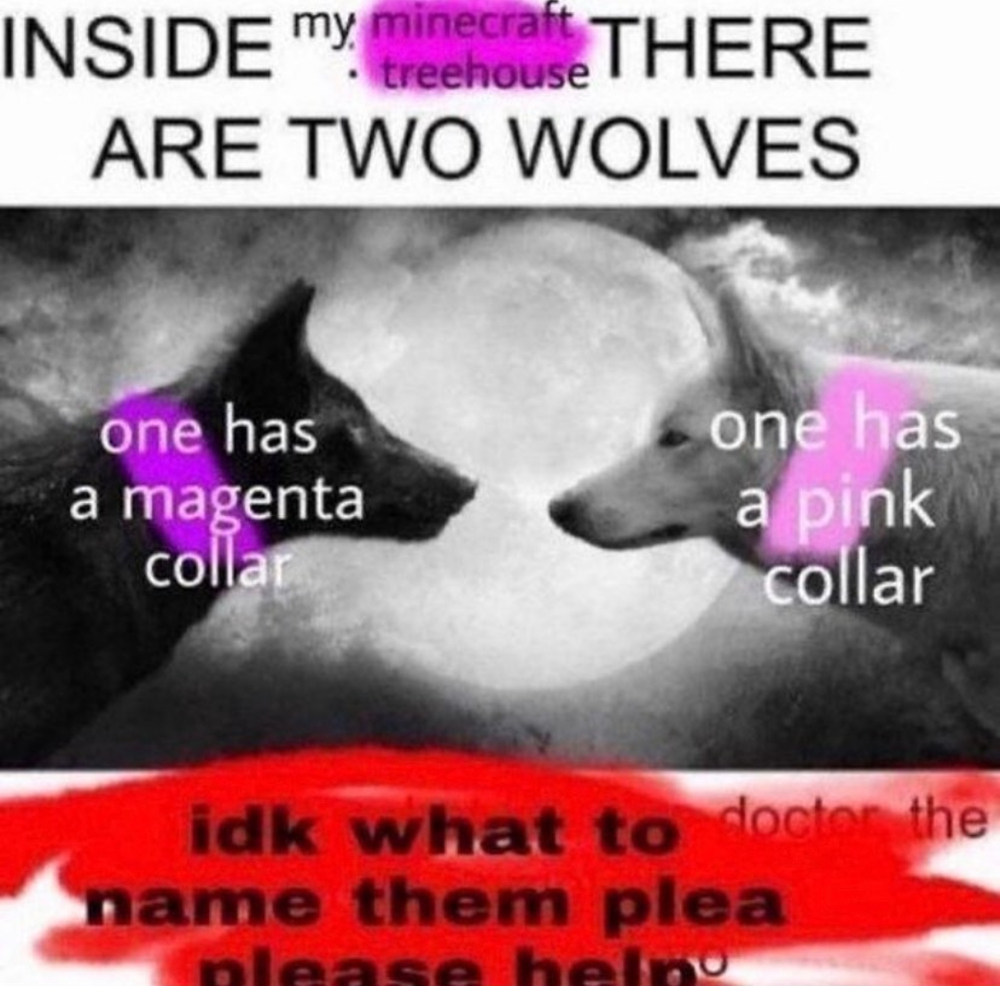 🕐HOURLY🕑 shitpost (@hourly_shitpost) on Twitter photo 