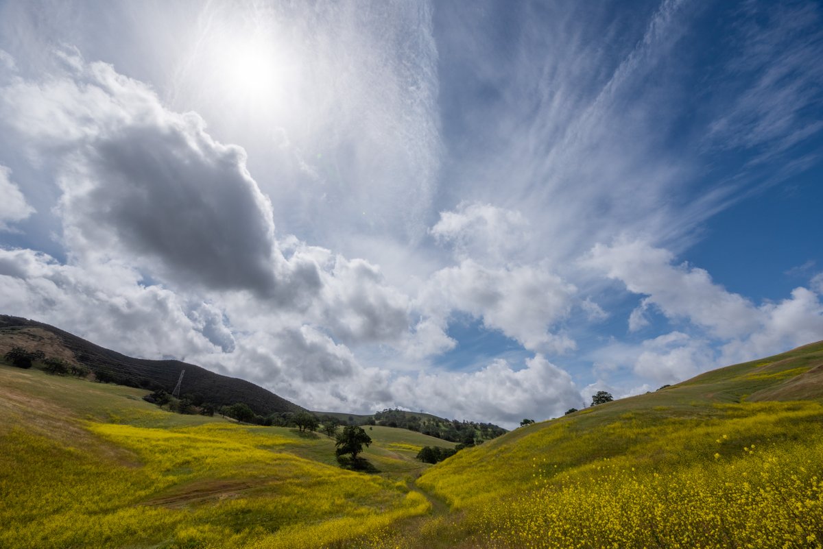 Save Mount Diablo tweet media