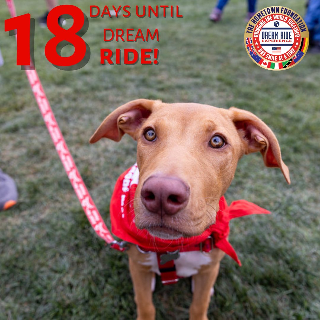 18 days left until Dream Ride. Featuring food, cars, motorcycles, pet adoption expo, live entertainment, Firefighters' Chili Cook-Off, Police K-9 Challenge, and more! reg.dreamride.org