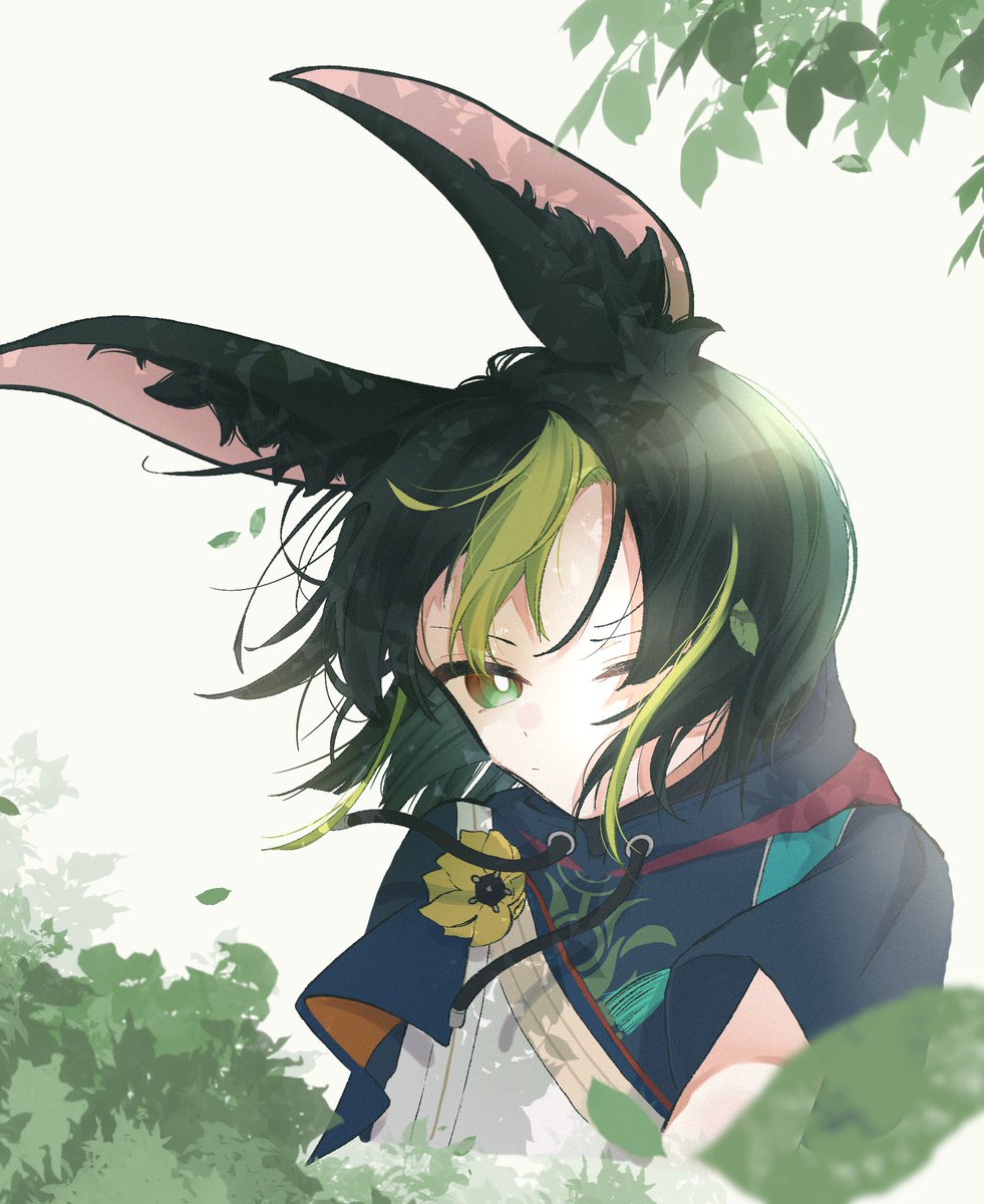 「#Tighnari 走る時に耳ぴょこぴょこすんのいいよね」|やき🦭のイラスト