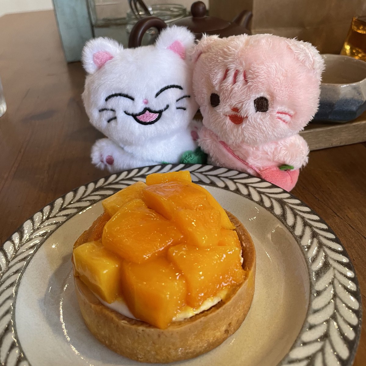 숩달이랑 뎡냥이랑 같이 냥냥🥭🍰
#숩달이의하루