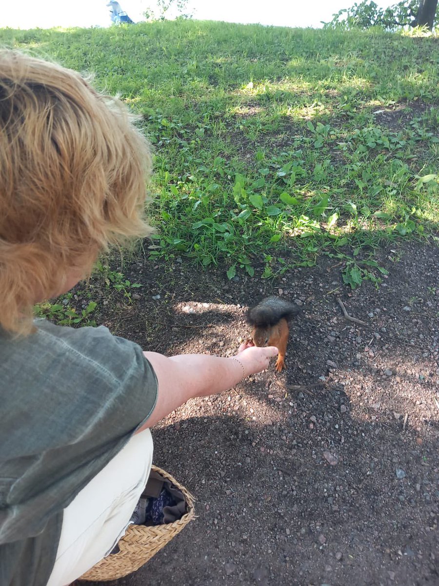 Вот снова белки. Сама вышла на тропинку. Знала, что у меня есть орешки? 😊