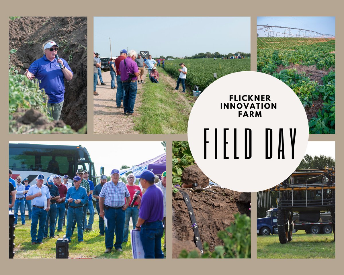 KCARE (@kstatekcare) on Twitter photo It's almost here! We'll be at the #FlicknerInnovationFarm this Thursday, 8/10 at 8:30 am. The forecast is looking good, and we're predicting an *amazing* day of demonstrations, discussions, and community. It's not too late to register! Just email your name to kstatekcare@ksu.edu. It's almost here! We'll be at the #FlicknerInnovationFarm this Thursday, 8/10 at 8:30 am. The forecast is looking good, and we're predicting an *amazing* day of demonstrations, discussions, and community. It's not too late to register! Just email your name to kstatekcare@ksu.edu.