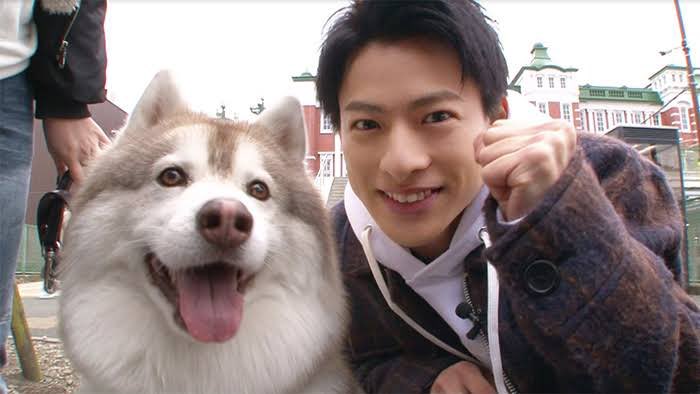 犬 平野紫耀 笑ってコラえて！の紫耀くんとジャーマンくん。 動物が大好きな紫耀