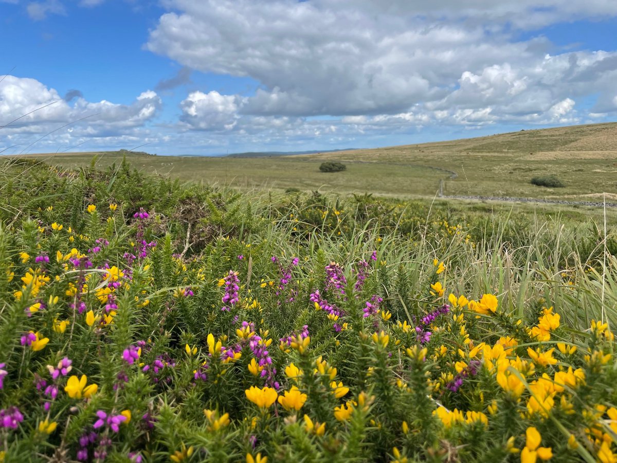 ExeterRamblers's tweet image. Watern Wander 2/2