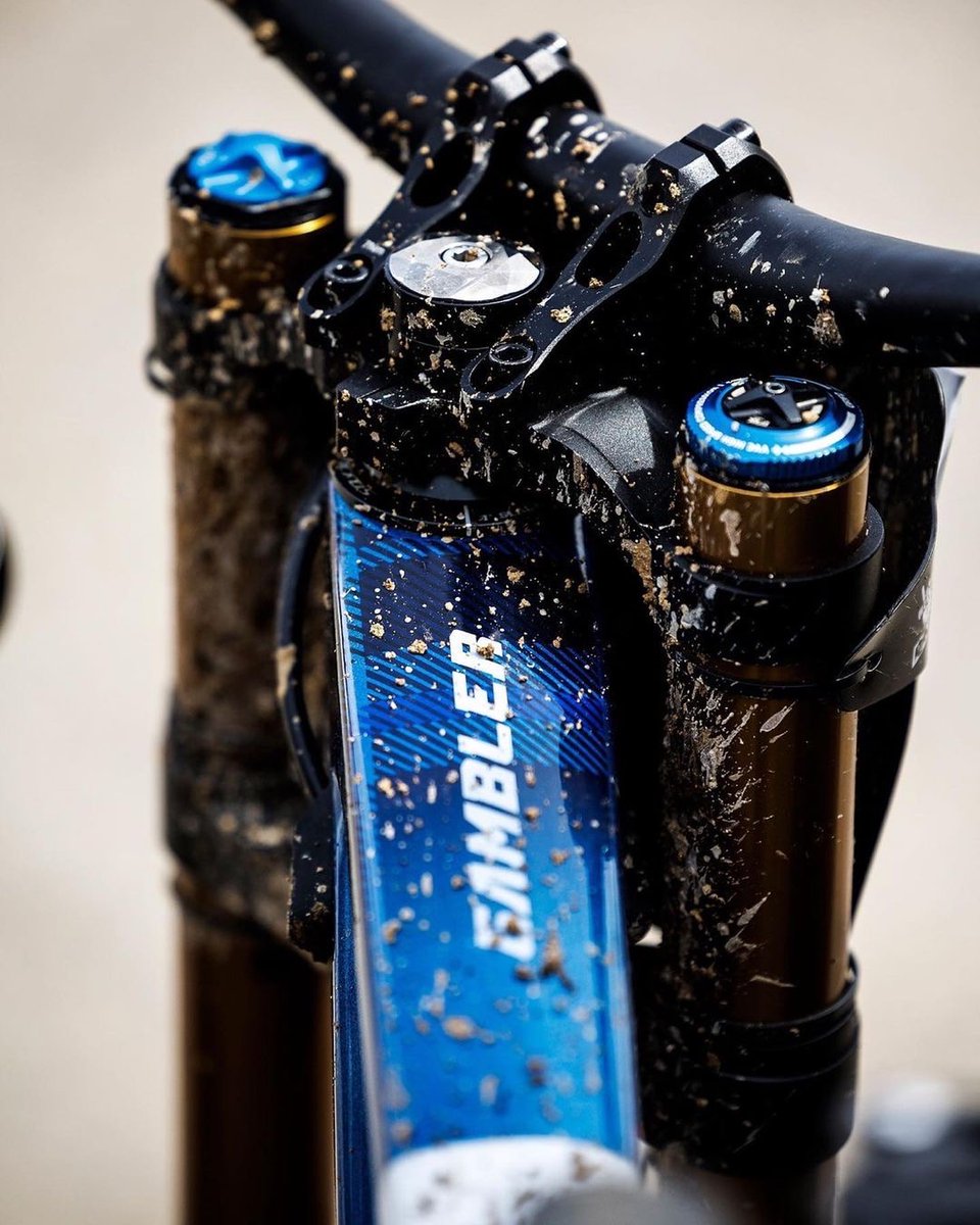 SCOTT España tweet media