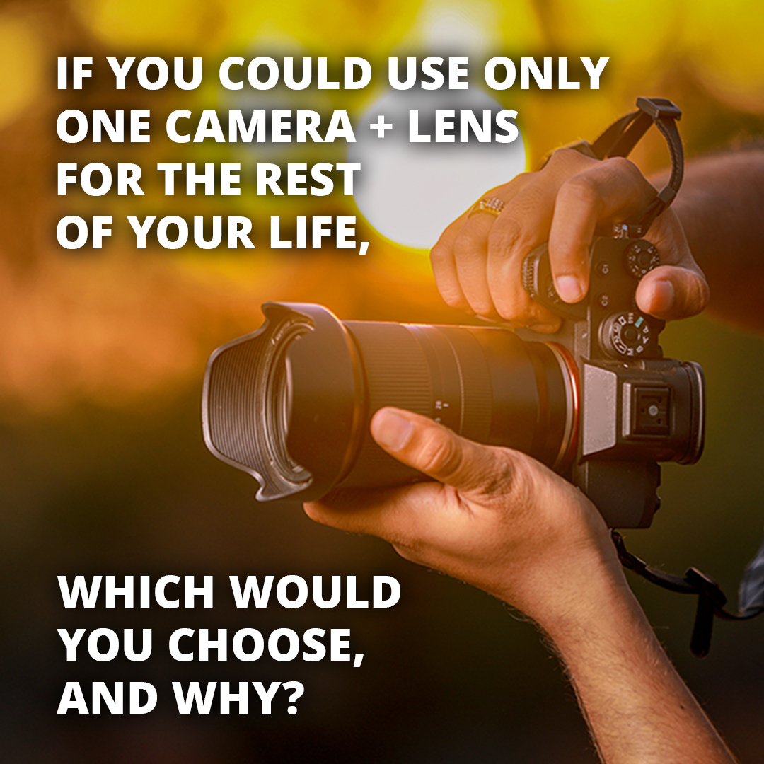 B&H Photo Video tweet media