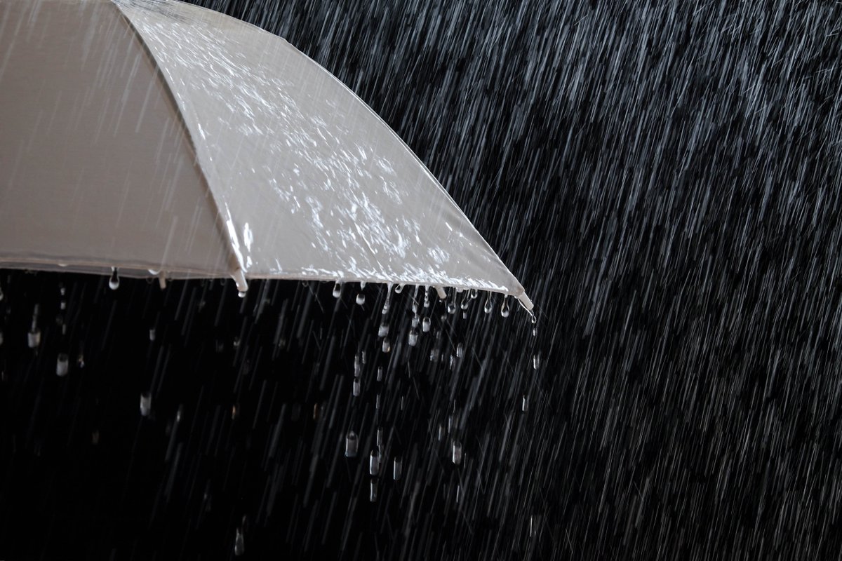 MTA is monitoring the weather forecast for the afternoon/evening. High winds may down trees; heavy rain may cause flooding impacting bus &amp; rail service. Plan ahead, and check weather &amp; transit info on the Transit app. As well as mta.maryland.gov &amp; social media for alerts.