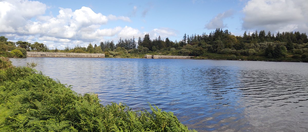ExeterRamblers's tweet image. A superb walk  led by one of our regular walk leaders, Bob Pond.  An +11 mile meander to the north west of Fernworthy reservoir.  A favourite area for many walkers, hikers and ramblers.  Some images courtesy of Lisa Templeton.