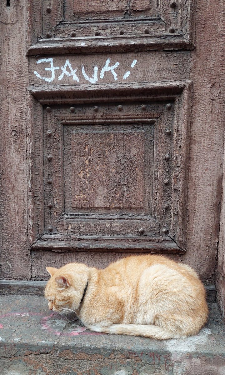 Āgenskalns. JAUKI. #jauki