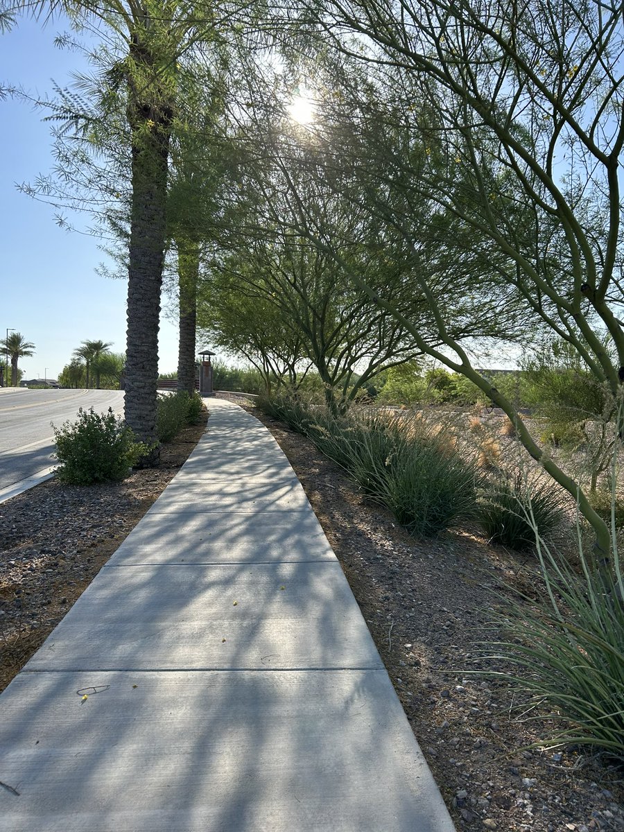 recordkr's tweet image. Morning walk in the sun ☀️