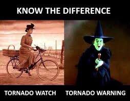 Jill Reale tweet media