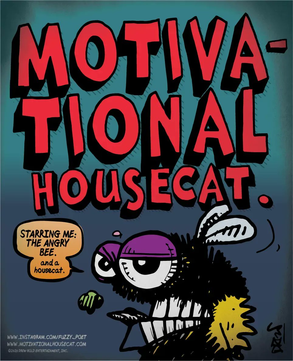 DrewGold's tweet photo. Grab your copies of The Best Of Motivational Housecat! Strips Vol.1 and 2 with FREE PRIME shipping from @amazon
US: https://t.co/1sJWHhjKzf
#comicillustration #comicsofinsta #indiecomicbook #comiclove #motivationalhousecat #artoninstagram #catsofinstagram #makemoreart #comics https://t.co/9z5IRpOyO9