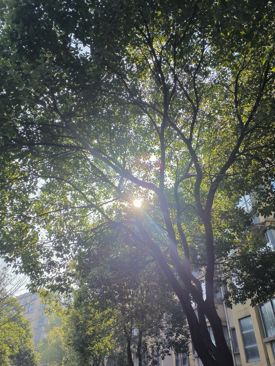 FloraWei9's tweet photo. 백현아, 넌 항상 내 빛이었어!당신의 모든 결정은 당신이 이렇게 용기 있고 박력 있는 사람이라는 것에 감탄하게 합니다.우리는 서로 의지하는 사이 아닙니까?걱정거리를 털어놓고 푹 주무세요!내일은 우리만의 찬란한 미래💞💛💛����
보세요! 제가 찍은 빛입니다~
@B_hundred_Hyun https://t.co/Le7QVWQujI