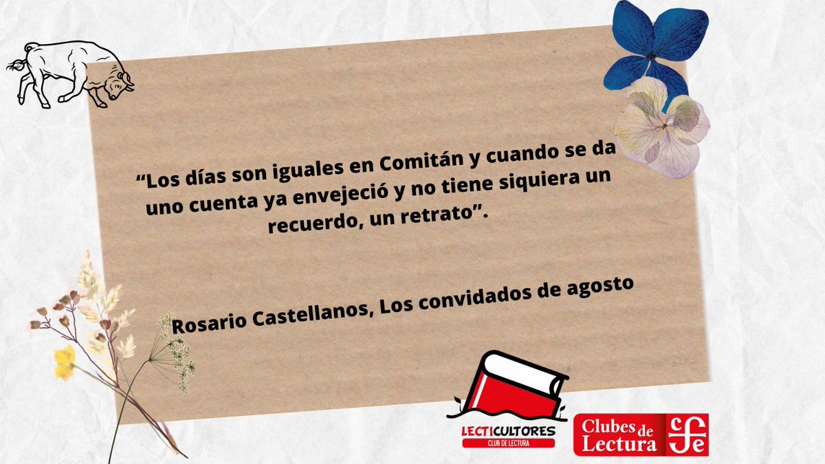 #Lectifrase
#FrasesDeLibros
#LecticultoresClub
#LibroRecomendado #LecturaDeLaSemana
#Books 
#ClubesDeLecturaFCE
#LeerTransforma
#ComunidadesLectoras
#LosConvidadosDeAgosto
#RosarioCastellanos