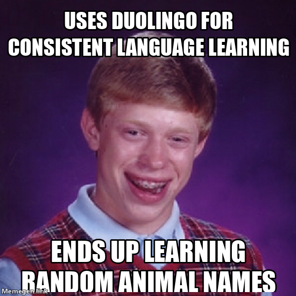 _yipofficial's tweet photo. I can tell you a bunch of animals in Italian, but have no chance with a full conversation!! 🦒😭
#languagelearning #languageproblems #duolingo #langtwt https://t.co/nhXjsbNapt