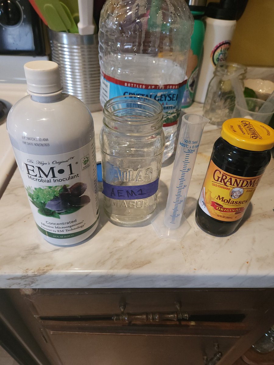 anthonyfebus1's tweet image. Made some activated Em1 for the garden will be checking the PH and  testing it out

🌞 sungrown Outdoors
Native living soil  #em1  #LABs #familyfarm #regenerativefarming  #notill #gardens #workhard  #foodforest #Hemp #herbs #microbes