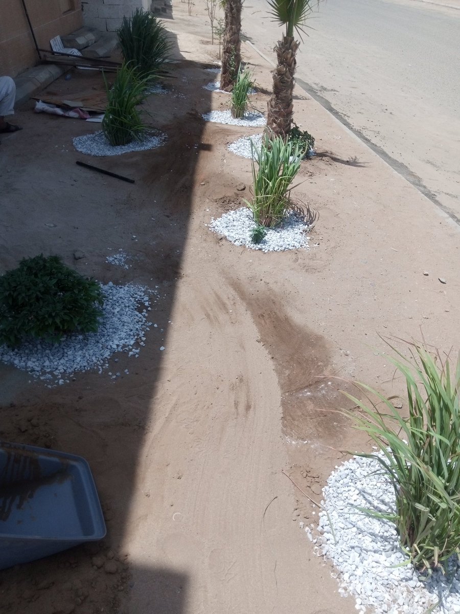 بعض من اعمال المشتل في الزراعه والتزليط