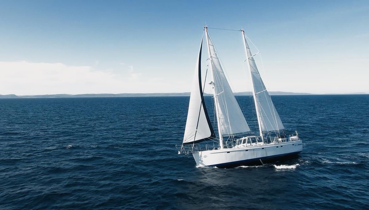 Woodard & Curran Foundation tweet media