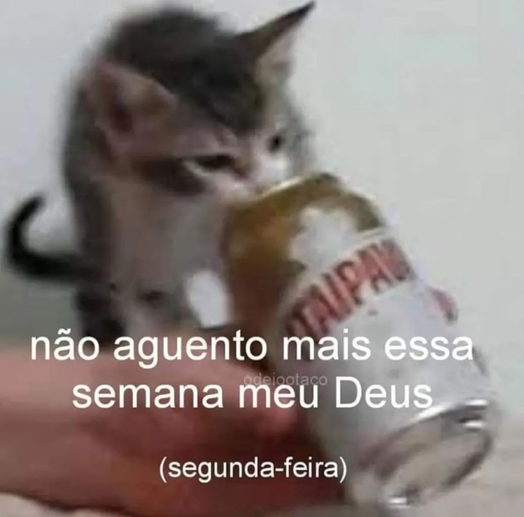shitpostverdade's tweet photo. https://t.co/dzxl7E9rLC