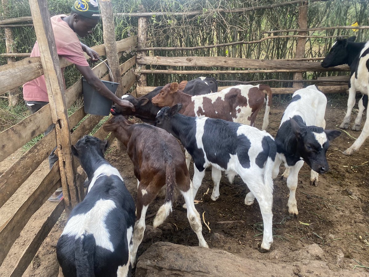Novine Farm 🧑🌾 tweet media