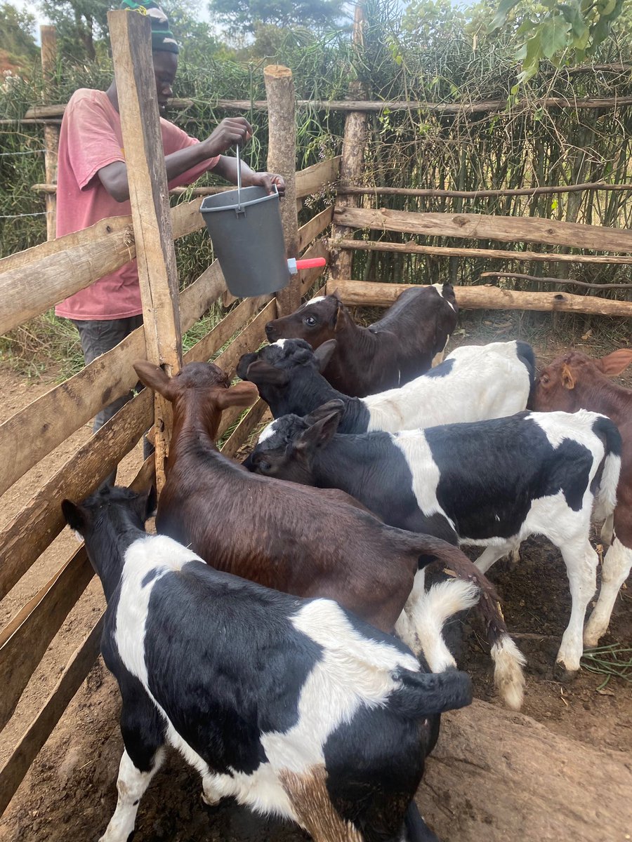 Novine Farm 🧑🌾 tweet media