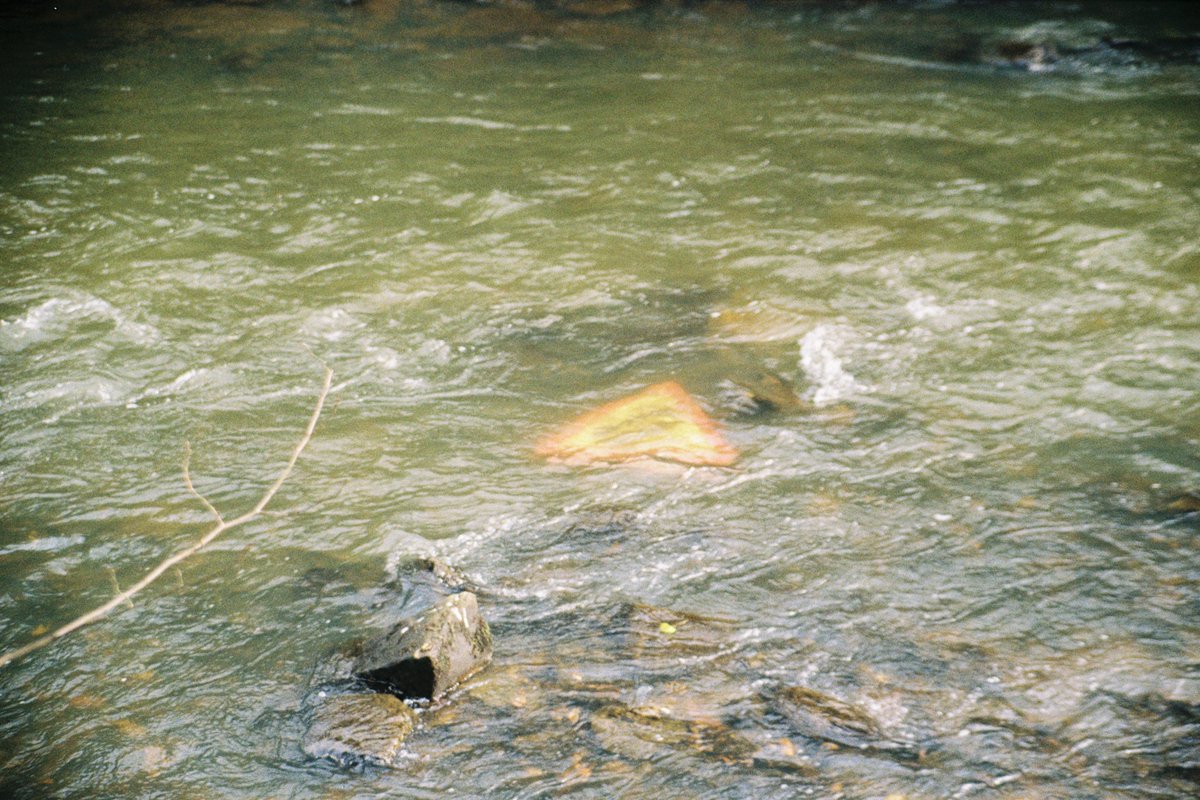 plutoniummt's tweet image. Sign in the kelvin