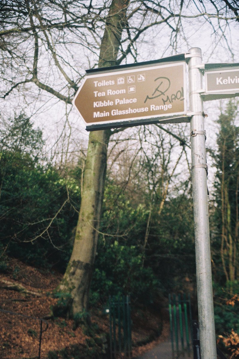 plutoniummt's tweet image. MAO!