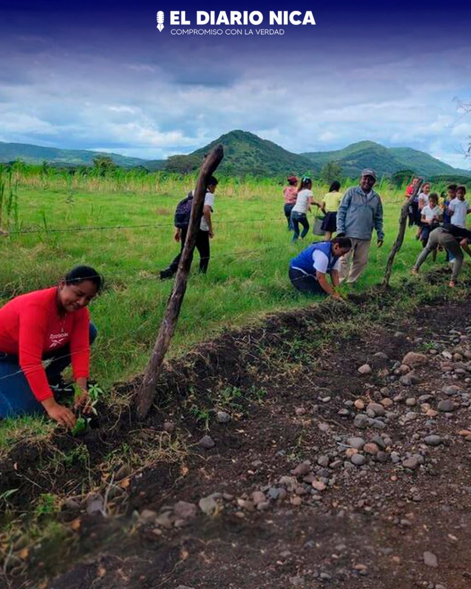 Gobierno de #Nicaragua  a través del Ministerio del Ambiente y de los Recursos Naturales MARENA, implementa la Campaña Nacional “Verde, que te quiero verde”.

Nota completa
eldiarionica.com/2023/08/07/cam…