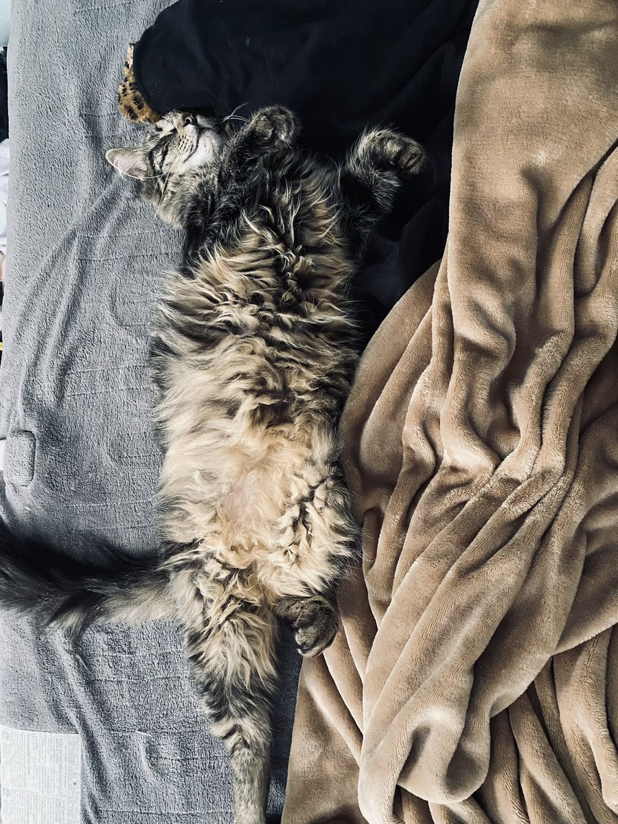 Ray_Merissa's tweet image. Thank you for always saving my life (he’s not dead but I would probably be without him)