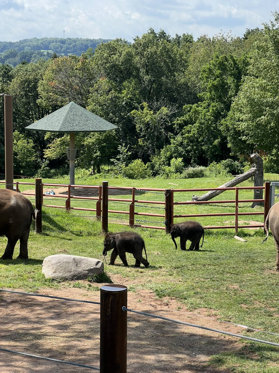 Summer School fun at the zoo!