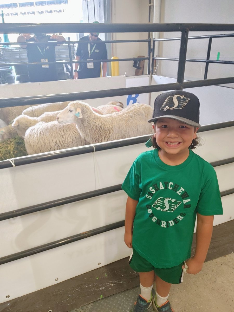 Big_G_09's tweet photo. @sskroughriders Sheep 🐑 6 Kids 0 final It was a hoot #muttonbusting 🤠 Thank you Koda (7) 🐂 🏈 🇨🇦 #Riderville 💚 #ForTheKids  #RiderNation #riderslive https://t.co/YxuXfe1gvU