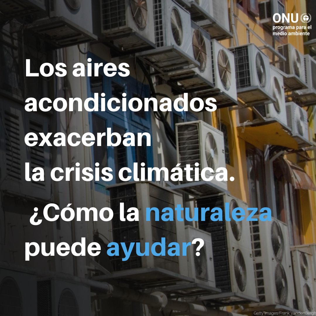 unep_espanol's tweet photo. En muchos países se busca alivio a las olas de calor recurriendo a aparatos de aire acondicionado, que a su vez agravan aún más la crisis climática.

Las soluciones basadas en la naturaleza pueden proporcionar ayudar a romper este círculo vicioso:

https://t.co/3tFZOd2Mhy https://t.co/XISF0MkEHJ