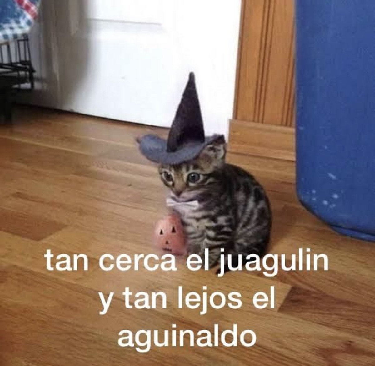 la_de_rh's tweet photo. Así me siento https://t.co/Hf8ZswIG0I
