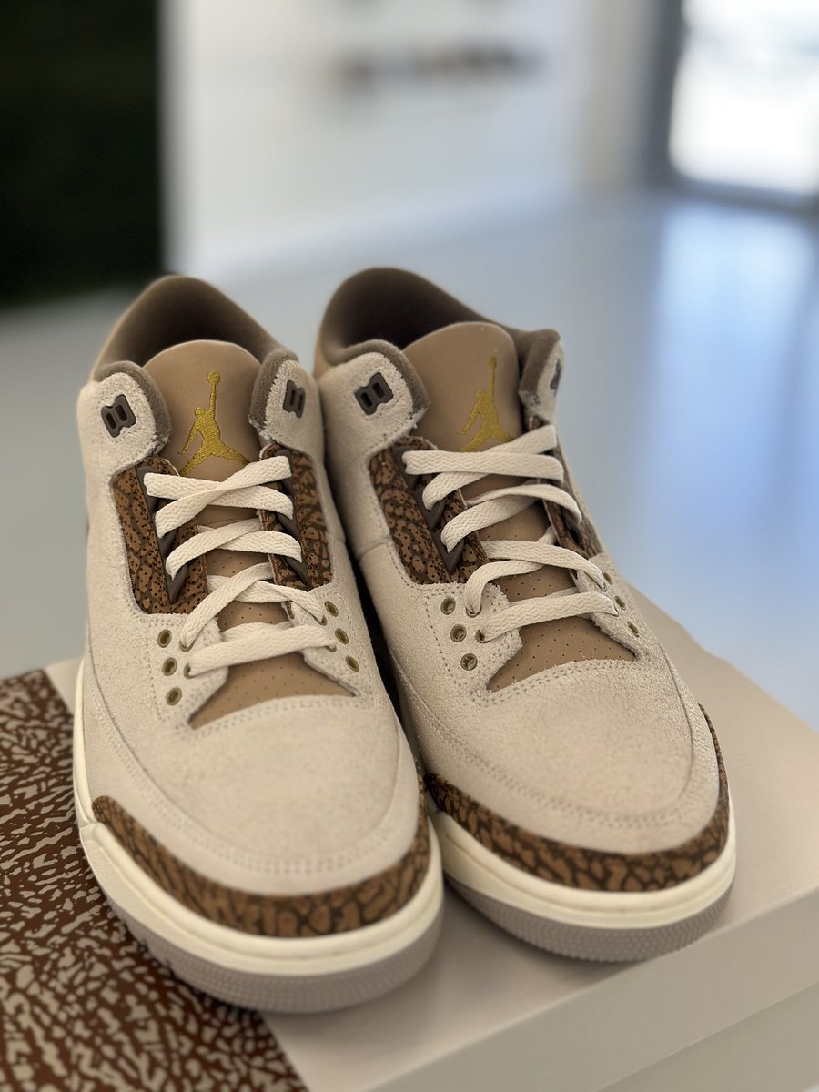 Jordan 3 Retro “Palomino” 🥥