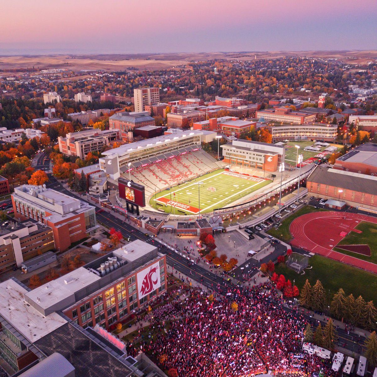 Go Cougs tweet media