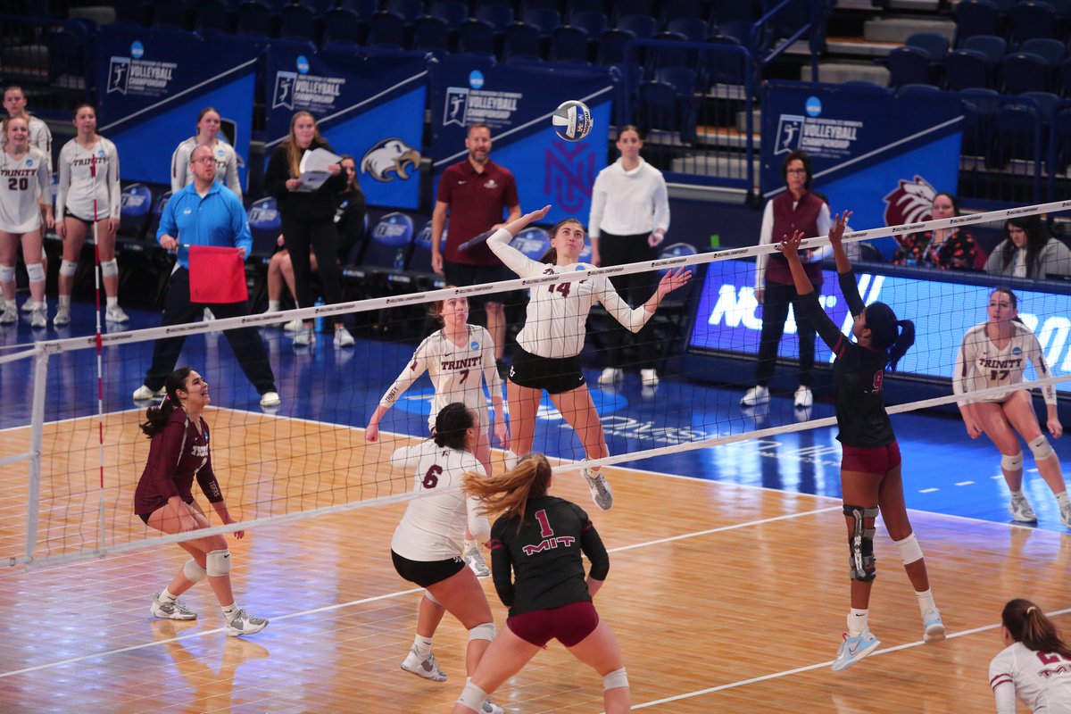 TrinityUTigers's tweet photo. Day 14 | Number 14 Brette Thornton, a fifth year on the volleyball team! #TigerPride https://t.co/dA8m03oGa9