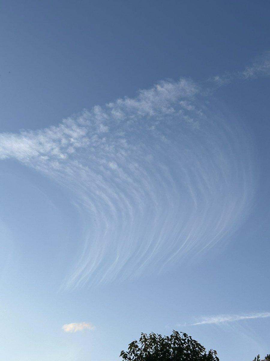 helen_probert's tweet image. Tonight from 8pm they have just sprayed what was a clear blue sky. One of the videos you see the Plane disperse then stop it #chemtrails #weathermod #GeoEngineering #HAARP